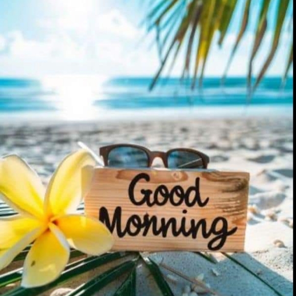 Meet your Posher, Patricia - Picture 5 of 5